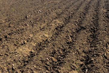 The soil is being prepared for plant,