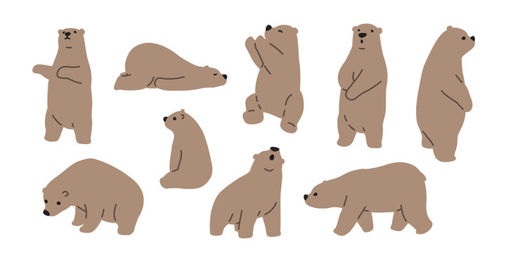 Naklejka Bear vector polar bear icon logo teddy cartoon character illustration