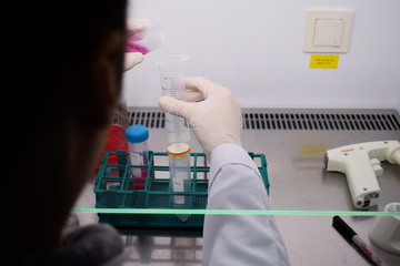 A woman working with a cell lines in a class II cabinet