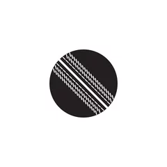 Crédence de cuisine en verre imprimé Sports de balle Cricket ball vector icon