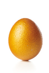 gold egg isolated on white