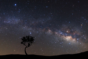 Landscape silhouette of tree with milky way galaxy and space dust in the universe, Night starry sky...