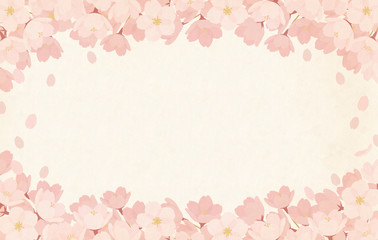 Obraz na płótnie Canvas 春・桜の背景素材