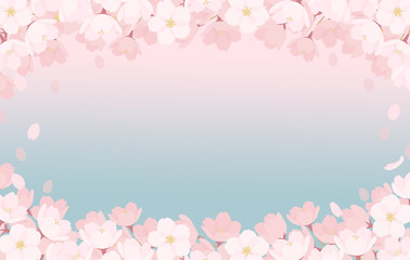 春・桜の背景素材