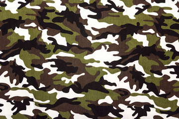 Military camouflage cloth pattern background. © WindyNight