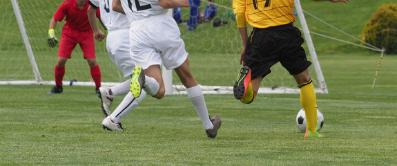 Obraz premium フットサル