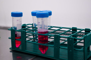 Test tubes with a red cell medium inside.
