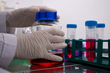 Hands on a cell medium in a hepa filtered cabinet