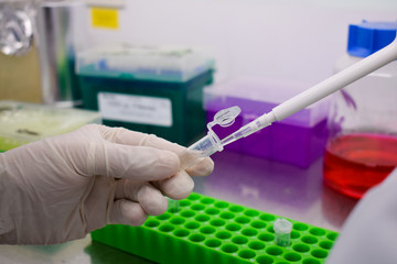 A working hand with a micropipette and test tube 3