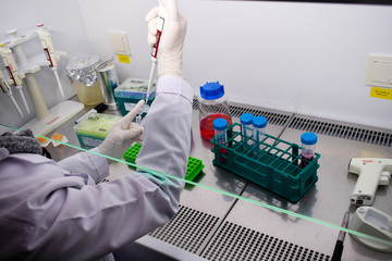 A  researcher working with a cell line in a hepa filtered cabinet 2