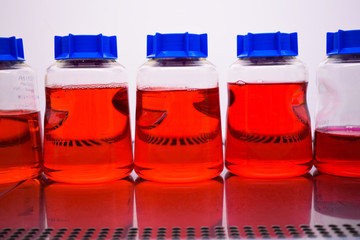 A Cell Medium with a blue cap in a cell culture cabinet