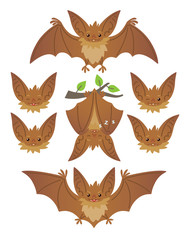 Bat in various poses. Flying, hanging. Brown bat-eared snouts with different emotions. Illustration of modern flat animal emoticons on white background. Cute mascot emoji set. Halloween smiley. Vector