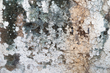 Dirty wall texture