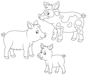 Funny family of a small piglet, a pig and a hog, a black and white vector illustrations in cartoon style for a coloring book