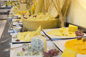 different kinds and sorts of cheese Close-up