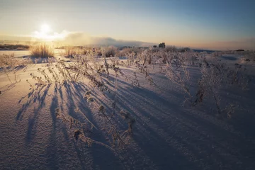 Fotobehang dawn on a frosty winter field © smolskyevgeny
