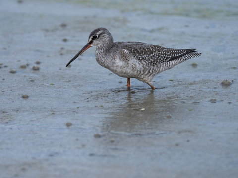 採 Images Browse 174 Stock Photos, Vectors, and Video Adobe Stock