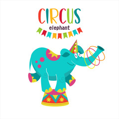 Circus artist