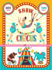 Circus artist