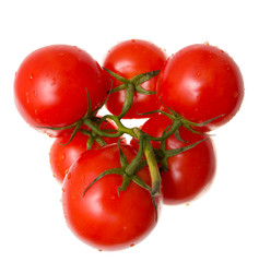 red juicy tomatoes