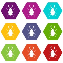 Stag beetle icon set color hexahedron
