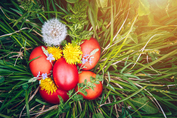 Red easter eggs on the grass with flowers and blowballs, naturally colored easter eggs with onion husks. Happy Easter, Christian religious holiday.