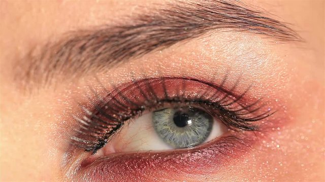 
Female eye with  cosmetic mascara look up. Macro studio shot
