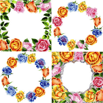 Wildflower rose flower pattern in a watercolor style. Full name of the plant: rose, hulthemia, rosa. Aquarelle wild flower for background, texture, wrapper pattern, frame or border.
