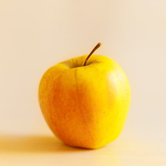 Yellow with red colors apple on the table