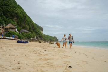 A family of freelancers with a dog is walking along the beach. A stylish young girl leads a gold retriever next to her husband with a surfer.
