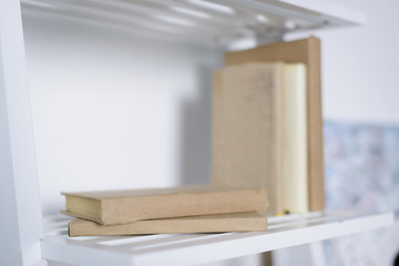 Fototapeta na wymiar books on white shelves in light apartment