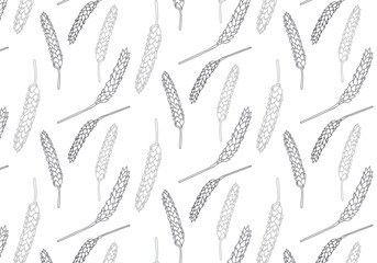 Vector pattern illustration hand drawn spring wheat. Malt beer background. Autumn harvest.