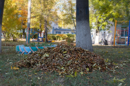 A pile of fallen autumn leaves in the yard
