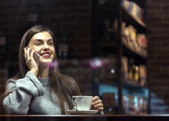 Young pretty brunette girl wears grey sweater have pleasant conversation by smartphone sitting near cafe window