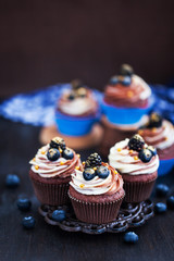 Homemade delicious chocolate cupcakes with fresh berries on top
