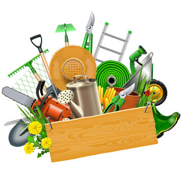 Vector Gardening Concept with Wooden Plank