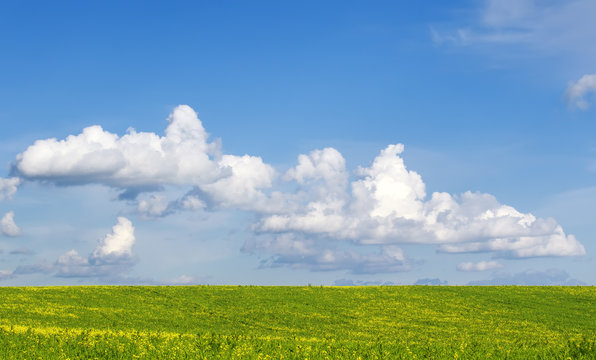 natural rural background with lush green flowery meadows, a bright blue sky and white clouds