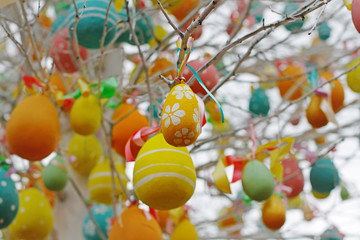 Fototapeta na wymiar Colorful decorated easter eggs hanging on tree branches