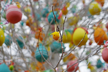 Yellow decorated easter egg hanging on tree branches
