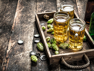 Fresh beer in glasses with green hops on an old tray.