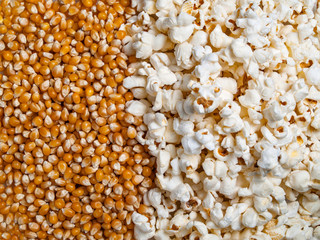 Texture background from ready popcorn and corn kernels