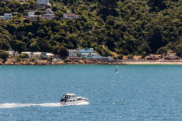 Fototapeta na wymiar Wellington waterfront, Scorching bay, north island of New Zealand