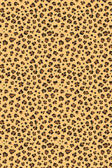 Leopard seamless texture repeating vector pattern.