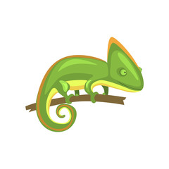 Green chameleon, amphibian animal cartoon vector Illustration