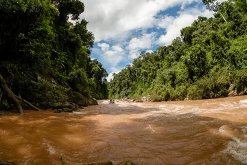 Foto op Canvas rafting in Nam Wa river with turbulent flow, Nan province, Thailand © designbydx