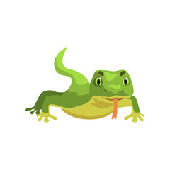 Green lizard, amphibian animal cartoon vector Illustration
