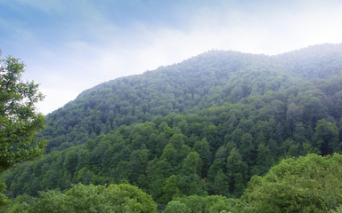 Fototapeta premium The forested valley of the Ijevan range. Fog over the mountains. View from the monastery Haghartsin. Armenia.