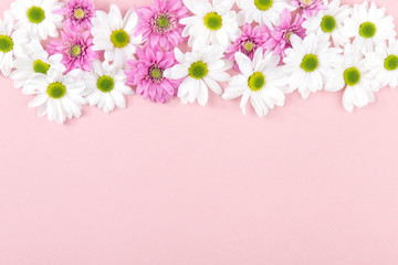 From above small different colored flowers on soft pink background.