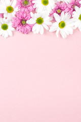 From above small different colored flowers on soft pink background.