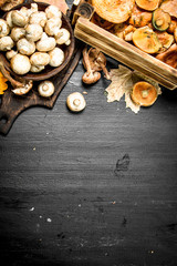 variety of forest mushrooms in boxes and bowls.